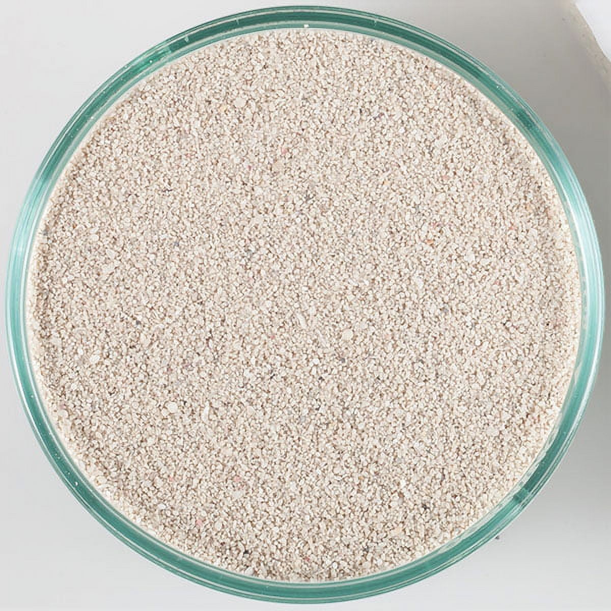 CaribSea Arag-Alive Bahamas Live Saltwater Reef Aquarium Sand - 20 Lbs - 2 Pack