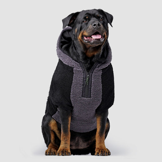 Canada Pooch Cool Factor Performance Dog Hoodie