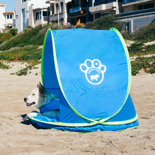 Canada Pooch Chill Seaker Cooling Station with Splash Pad Dog Tent - Blue - L:47" In X W:39" In X H:32" In