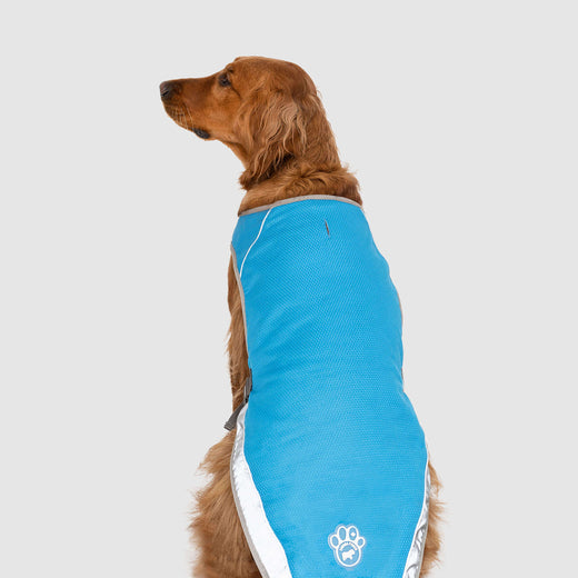 Canada Pooch Chill Seaker Cooling Dog Vest