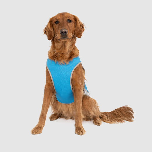 Canada Pooch Chill Seaker Cooling Dog Vest