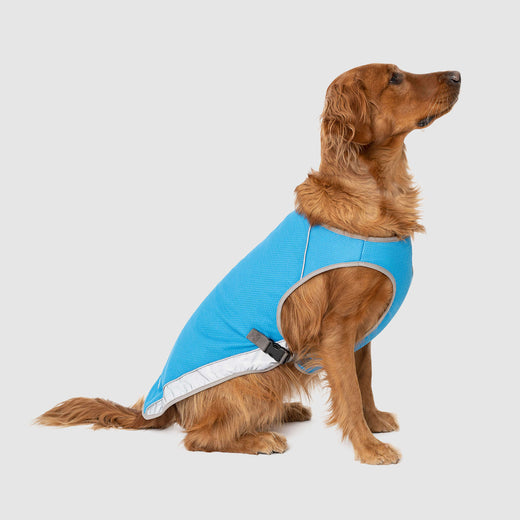 Canada Pooch Chill Seaker Cooling Dog Vest Aqua 10 Inch Length