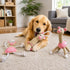 Pet Life ® 2-Piece Eco-Friendly Recyclable Jute Rope and Plush Dog Toy Set - Pink
