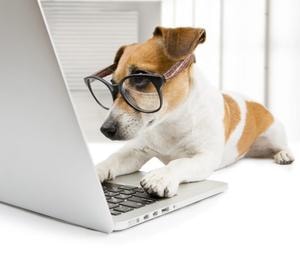 shop pet supplies online