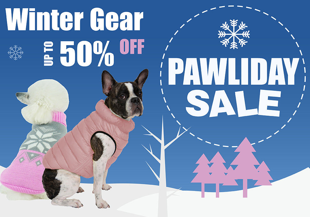 Dog Coats and Sweaters