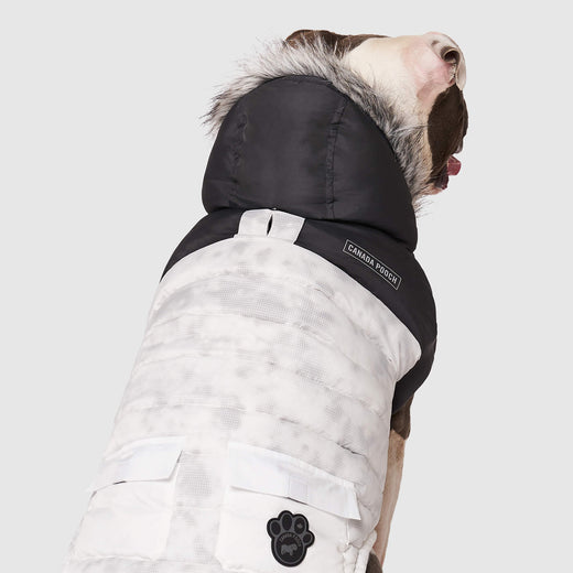 Canada Pooch Eco True North Marble Winter Dog Coat Parka