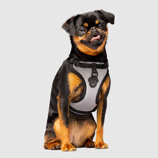 Canada Pooch Core Water-Resistant Everything Mesh Reflective Dog Harness - Gray/Black