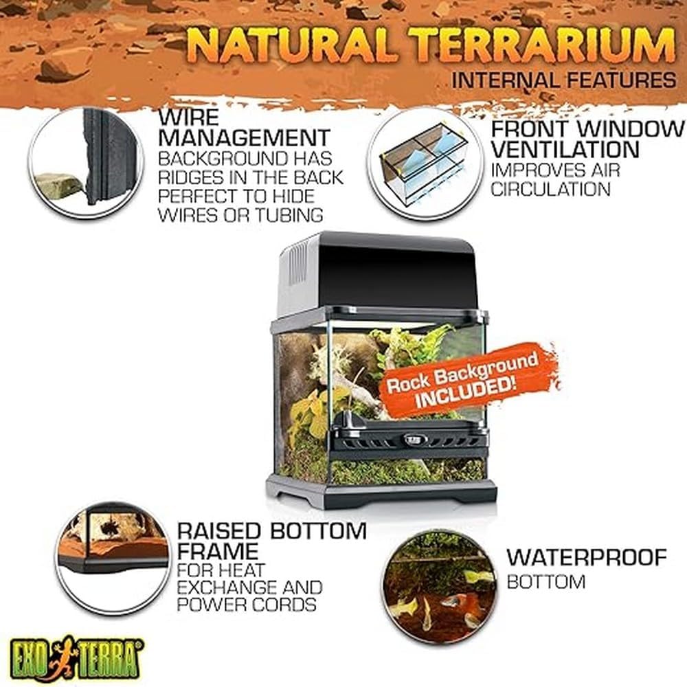 Exo Terra Glass Single-Hinge Nano Terrarium - L:8 X W:8 X H:8 Inches