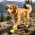 Dog Helios 'Traverse' Premium Grip High-Ankle Outdoor Dog Boots - Set Of 4