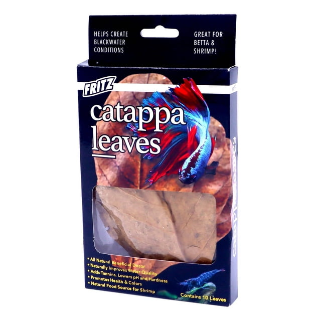 Fritz Aquatics Cattapa Leaves Natural Décor and Health for Freshwater and Saltwater Conditions