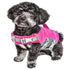 Dog Helios ® 'Tidal Guard' Multi-Point Strategically-Stitched Reflective Pet Dog Life Jacket Vest