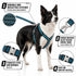 Pet Life ® 'Escapade' Outdoor Series 2-in-1 Convertible Dog Leash and Harness