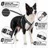 Pet Life ® 'Escapade' Outdoor Series 2-in-1 Convertible Dog Leash and Harness