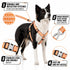 Pet Life ® 'Escapade' Outdoor Series 2-in-1 Convertible Dog Leash and Harness