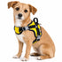 Dog Helios ® 'Scorpion' Sporty High-Performance Free-Range Dog Harness Yellow Small