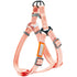 Touchdog ® 'Macaron' 2-in-1 Durable Nylon Dog Harness and Leash