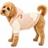 Touchdog 'Heritage' Soft-Cotton Fashion Dog Hoodie Sweater X-Small Pink