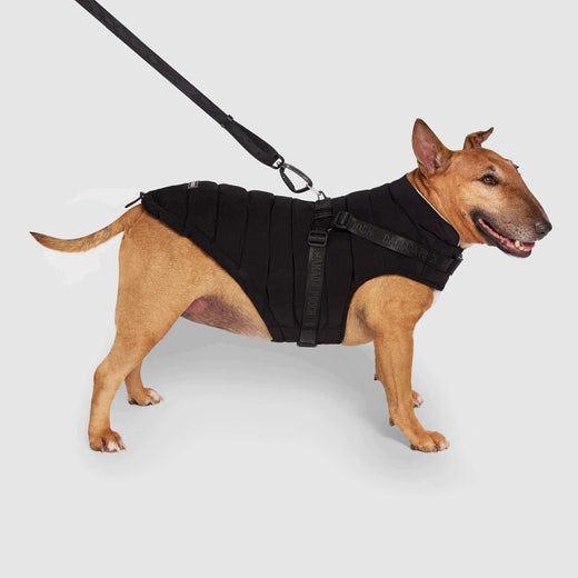 Canada Pooch Harness Puffer 2-in-1 Dog Coat and Harness