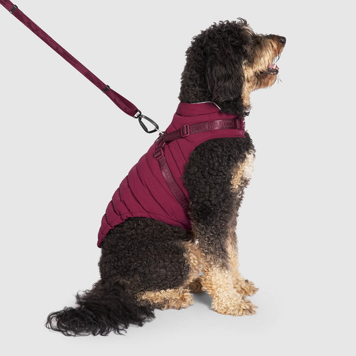 Canada Pooch Harness Puffer 2-in-1 Dog Coat and Harness