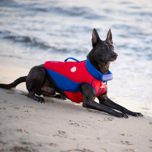 Canada Pooch High Tide Floating Waterproof Dog Life Jacket