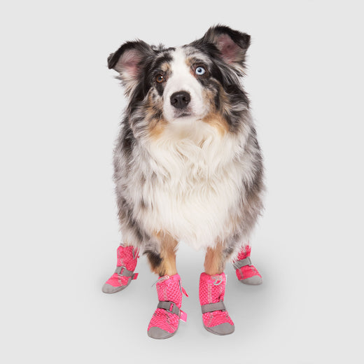 Canada Pooch Hot Pavement Breathable Dog Boots