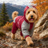 Dog Helios 'Vortex' Full Bodied Waterproof Windbreaker Dog Jacket