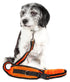 Pet Life ® Accordion and Hand's Free Belt-Clip Dog Leash - 2 Piece Set