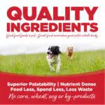 Nutrisource Super Performance Chicken & Rice Dry Dog Food - 40 lb Bag