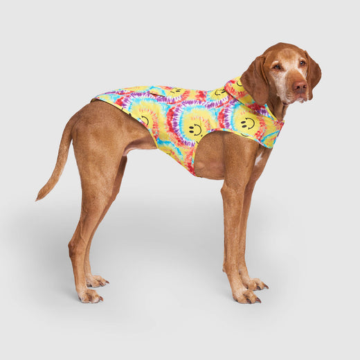 Canada Pooch Pick Me Waterproof Dog Poncho