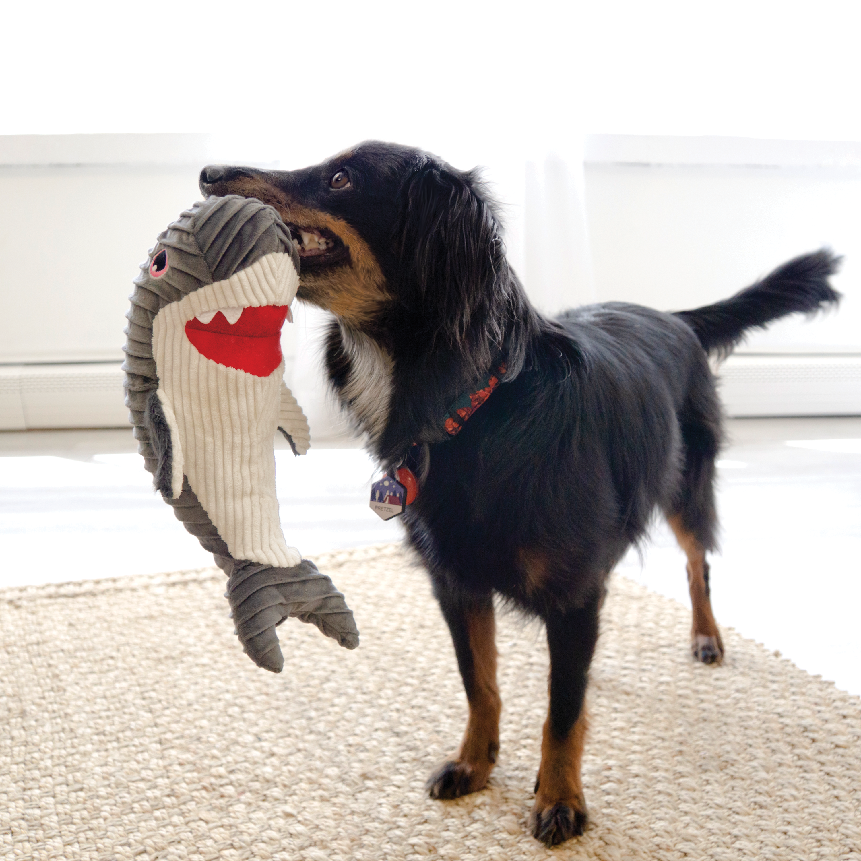 Kong Cuteseas Rufflez Shark Squeak and Plush Dog Toy - Medium  