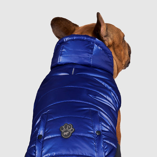 Canada Pooch Shiny Winter Dog Puffer Vest