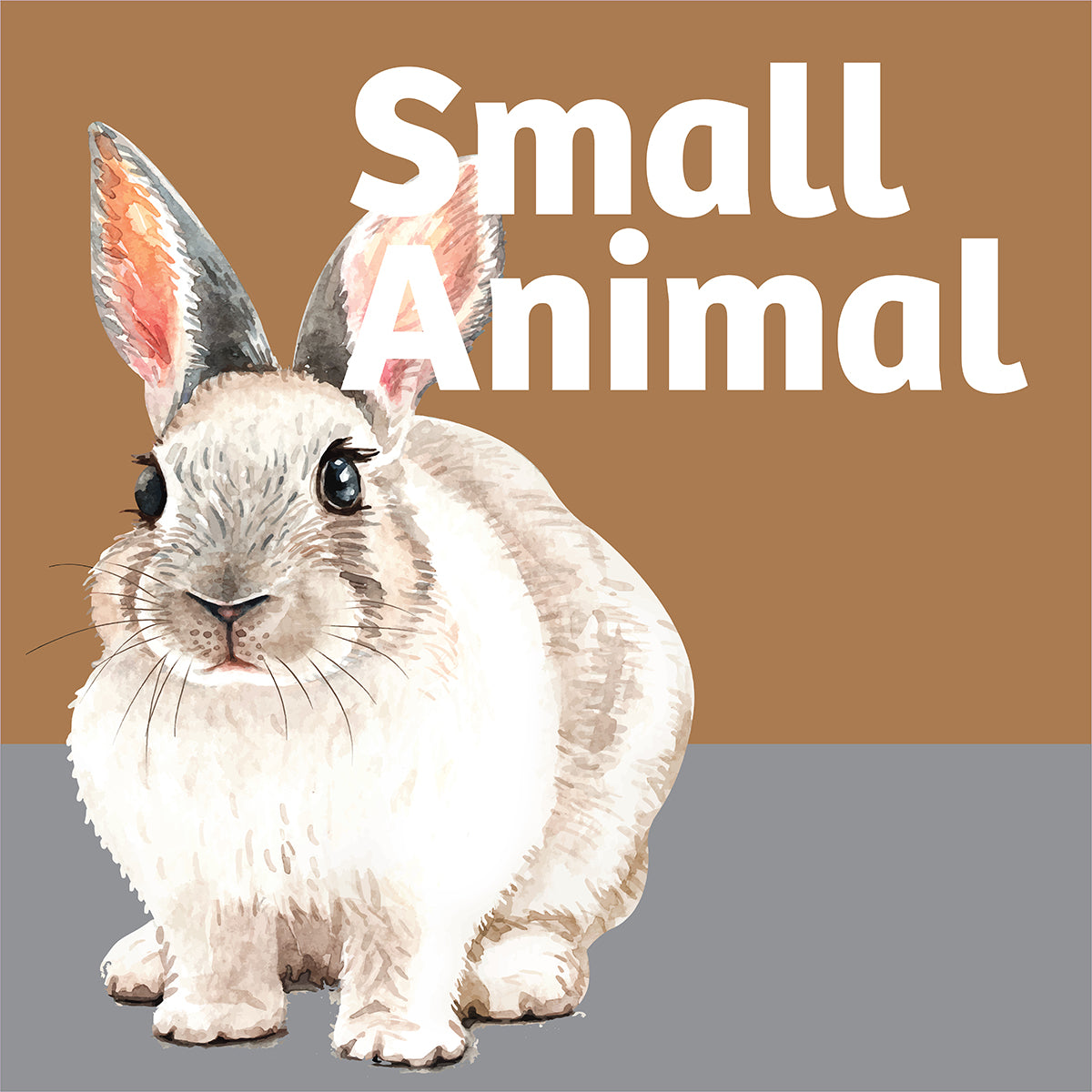 Small Animal Habitats and Accessories