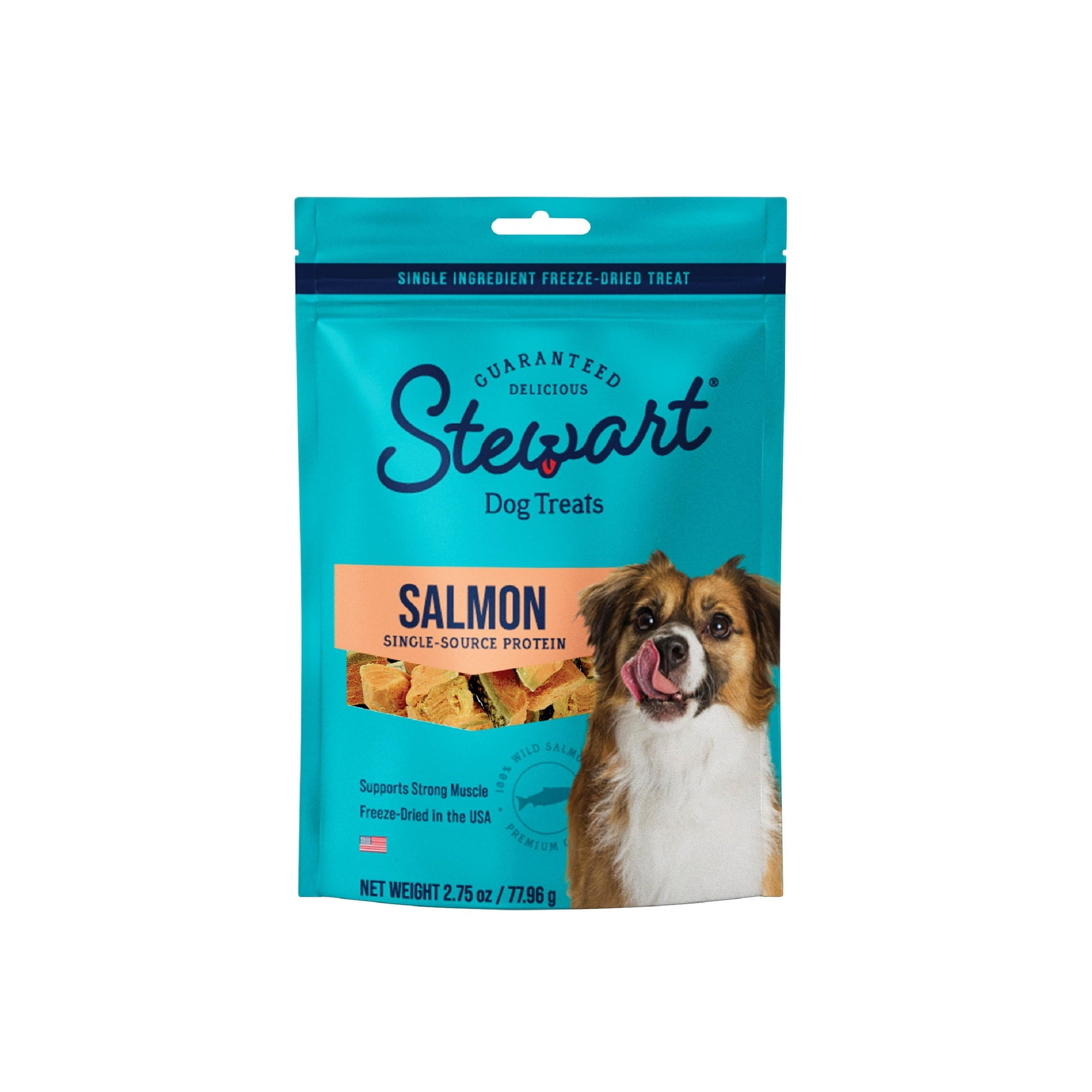 Stewart Single Ingredient Grain-Free Wild Salmon Freeze-Dried Dog Treats or Food Topper 2.75 Ounce