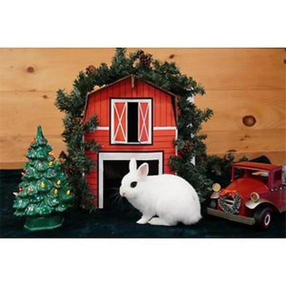 Sweet Meadow Farm Buddy Barn Cardboard Small Animal Hideout