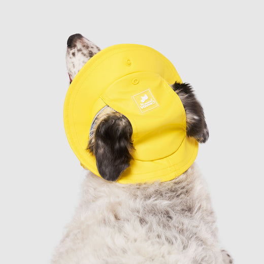 Canada Pooch Torrential Tracker Dog Hat - Yellow