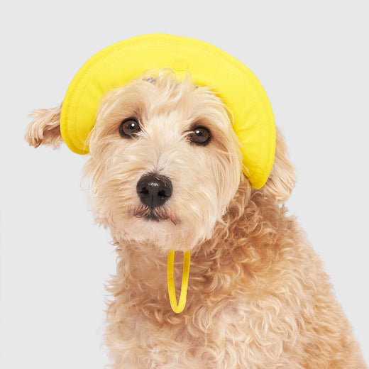 Canada Pooch Torrential Tracker Dog Hat - Yellow - Small