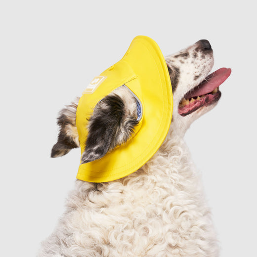 Canada Pooch Torrential Tracker Dog Hat - Yellow