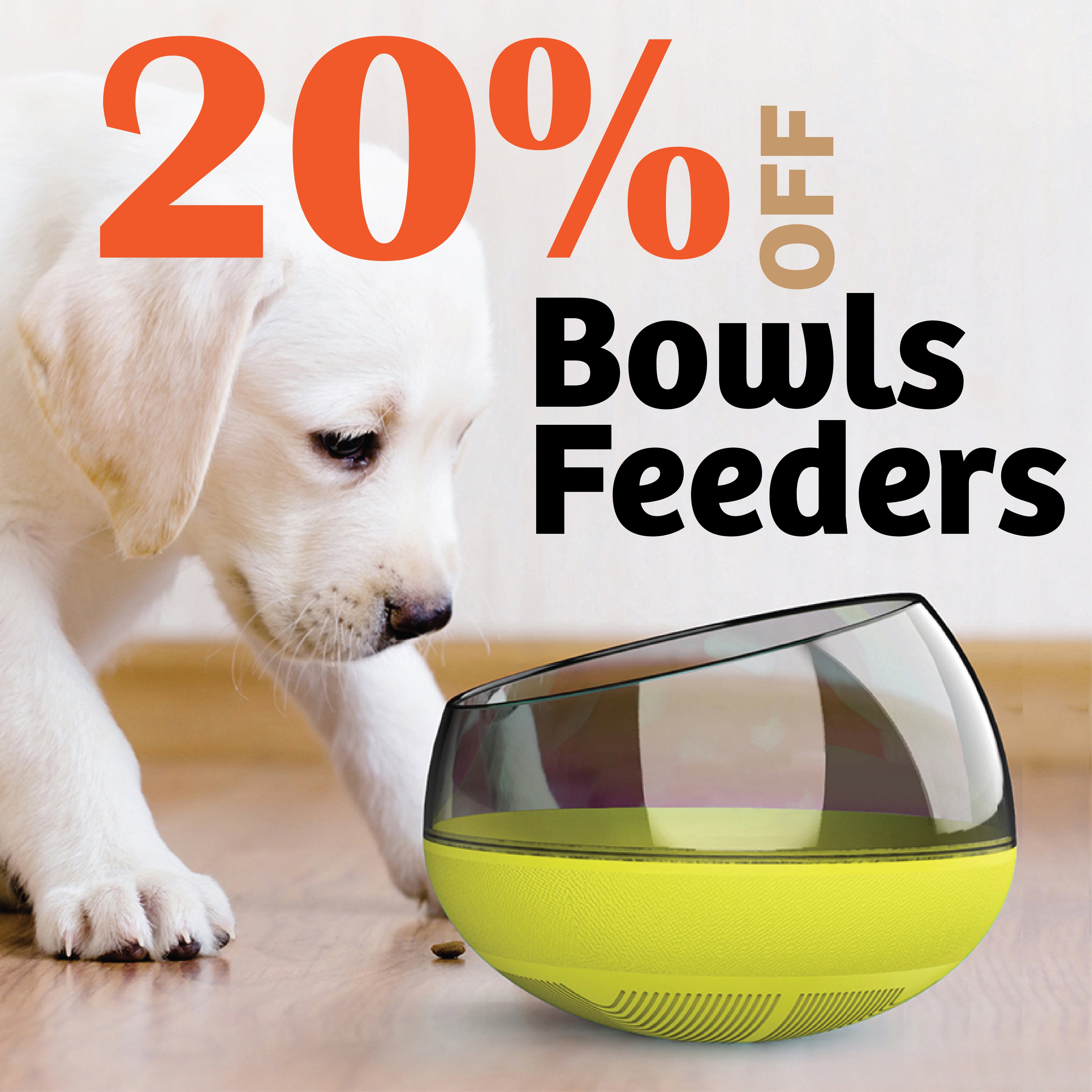 dog bowls and feeders