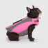 Canada Pooch Wave Rider Safety Dog Life Jacket