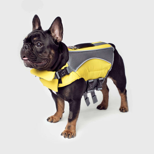 Canada Pooch Wave Rider Safety Dog Life Jacket Yellow Large