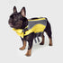 Canada Pooch Wave Rider Safety Dog Life Jacket Yellow Large