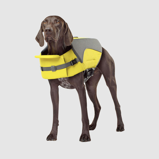 Canada Pooch Wave Rider Safety Dog Life Jacket