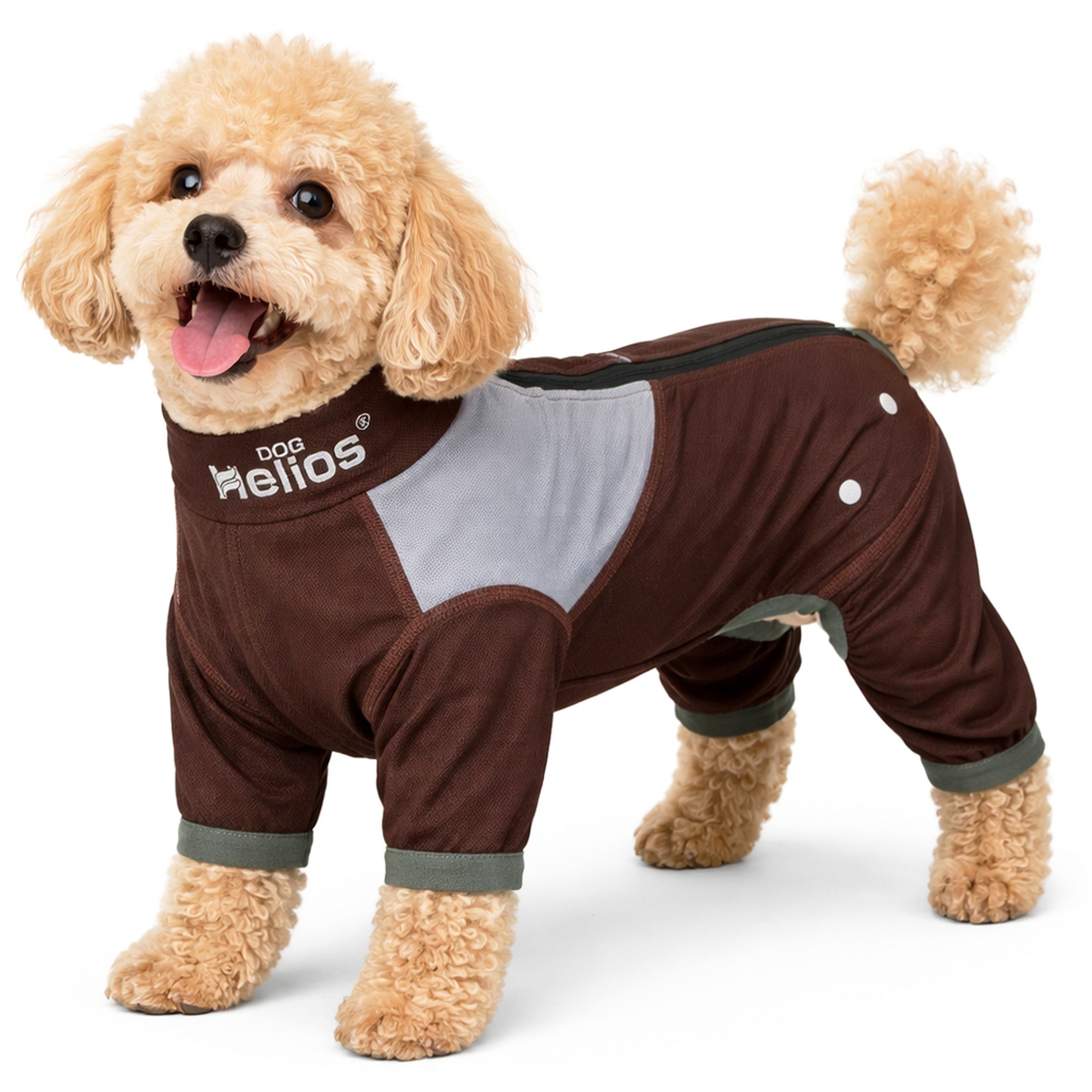 Dog Helios ® 'Tail Runner' Lightweight 4-Way-Stretch Breathable Yoga Dog Tracksuit X-Small Brown And Grey