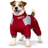 Dog Helios ® 'Tail Runner' Lightweight 4-Way-Stretch Breathable Yoga Dog Tracksuit