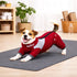 Dog Helios ® 'Tail Runner' Lightweight 4-Way-Stretch Breathable Yoga Dog Tracksuit