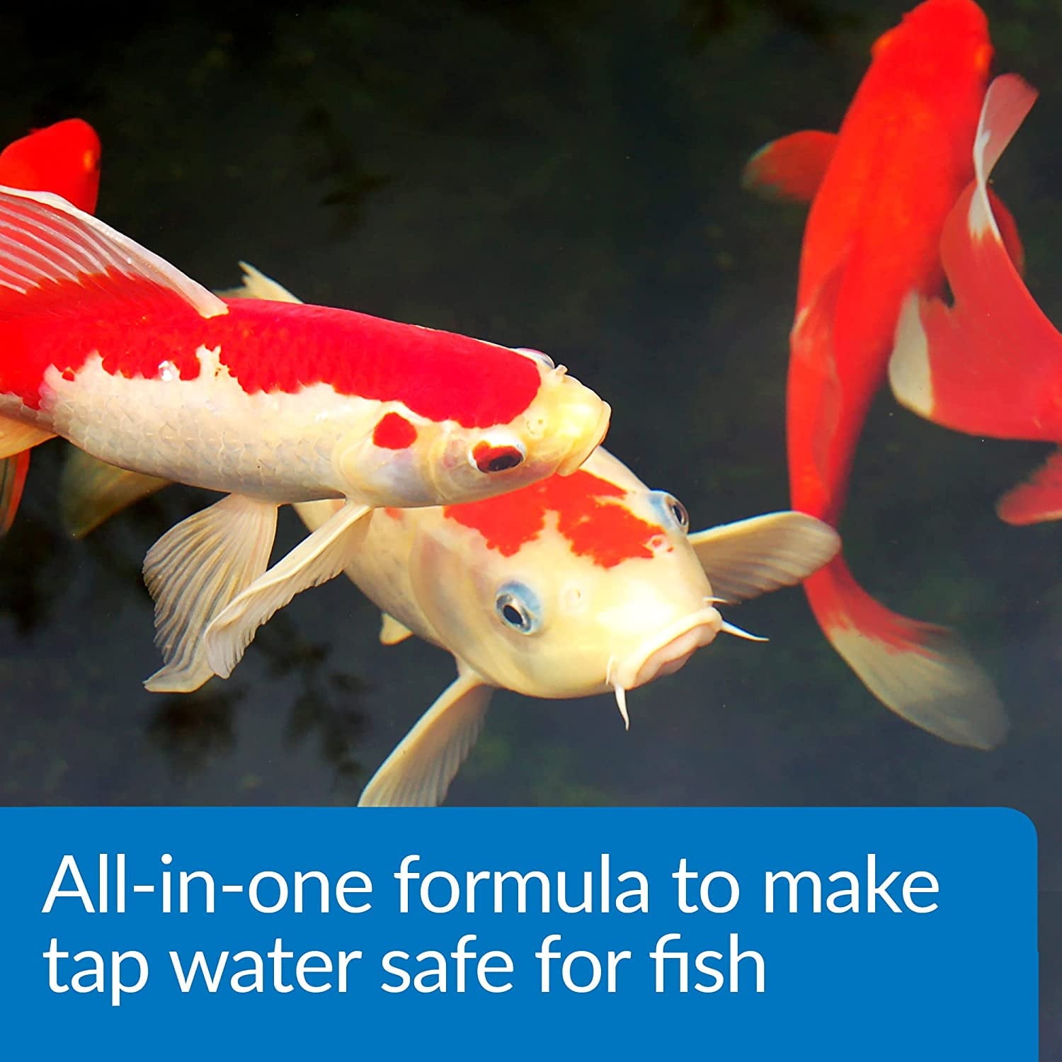 API Aqua Essential Pond Water Conditioner