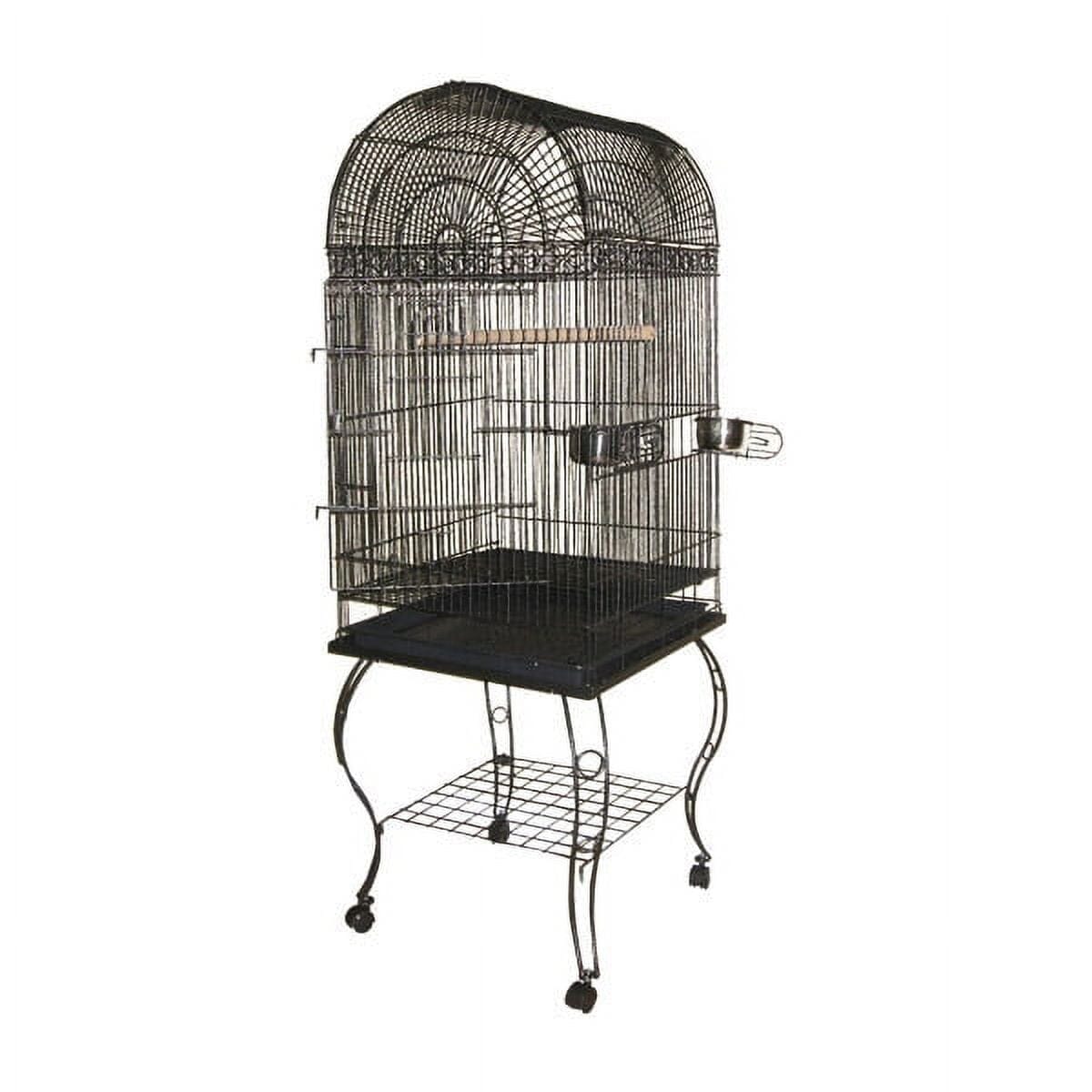 A&E Cage Company Economy Dome Top Bird Cage - Black - 20 X 20 X 58 In