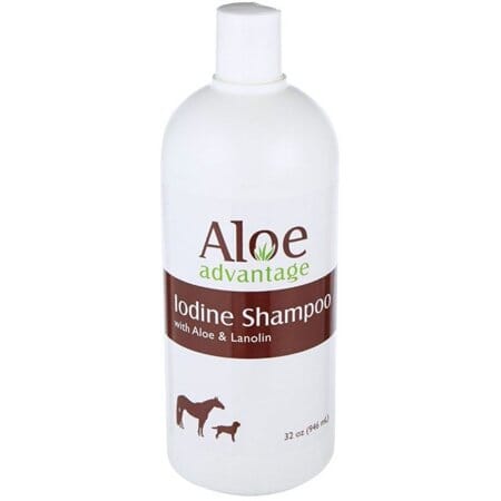 Aloe Advantage Iodine Pet Shampoo - 1 Qt