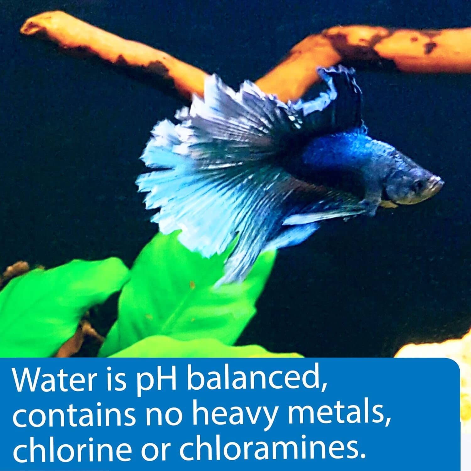 API Betta Water Pre-Conditioned Freshwater Water Treatment  - 64 Oz