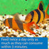 API Bottom Feeder Freeze-Dried Shrimp Pellets Fish Food with Squid